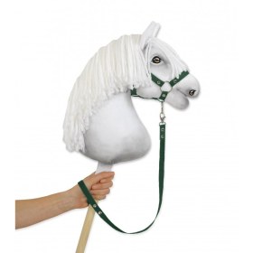 Kuidas valida parim hobihobuse komplekt lastele